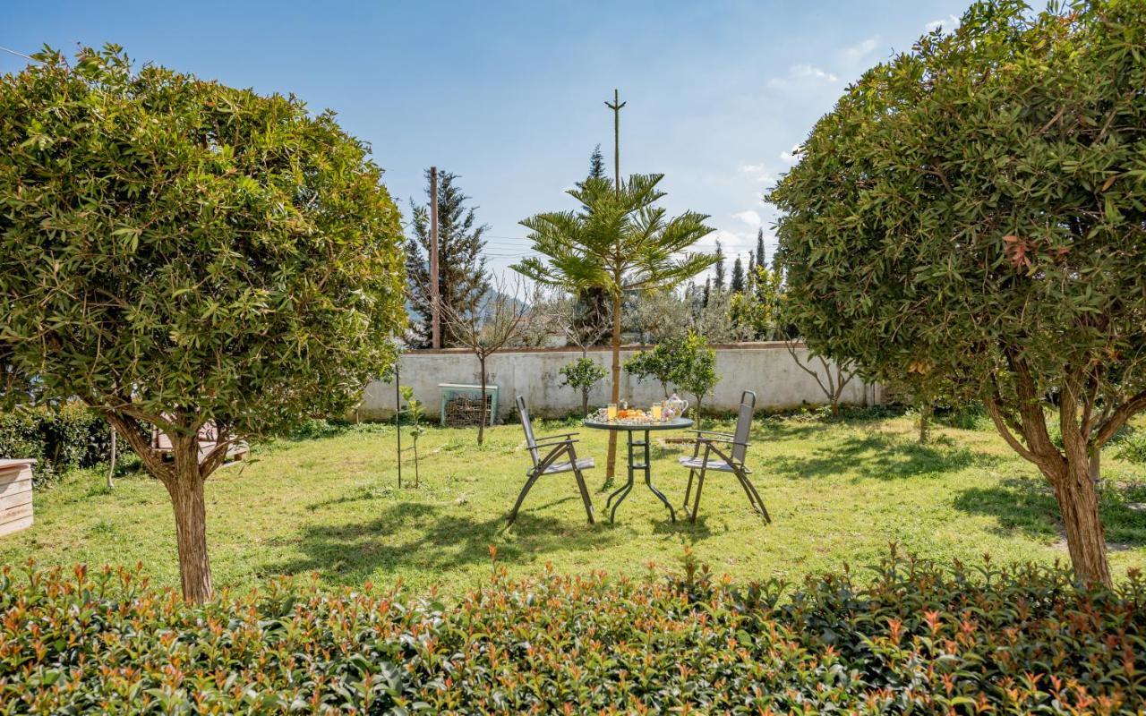 Eleni'S Cozy Apartment In Tsilivi Gaitani ภายนอก รูปภาพ